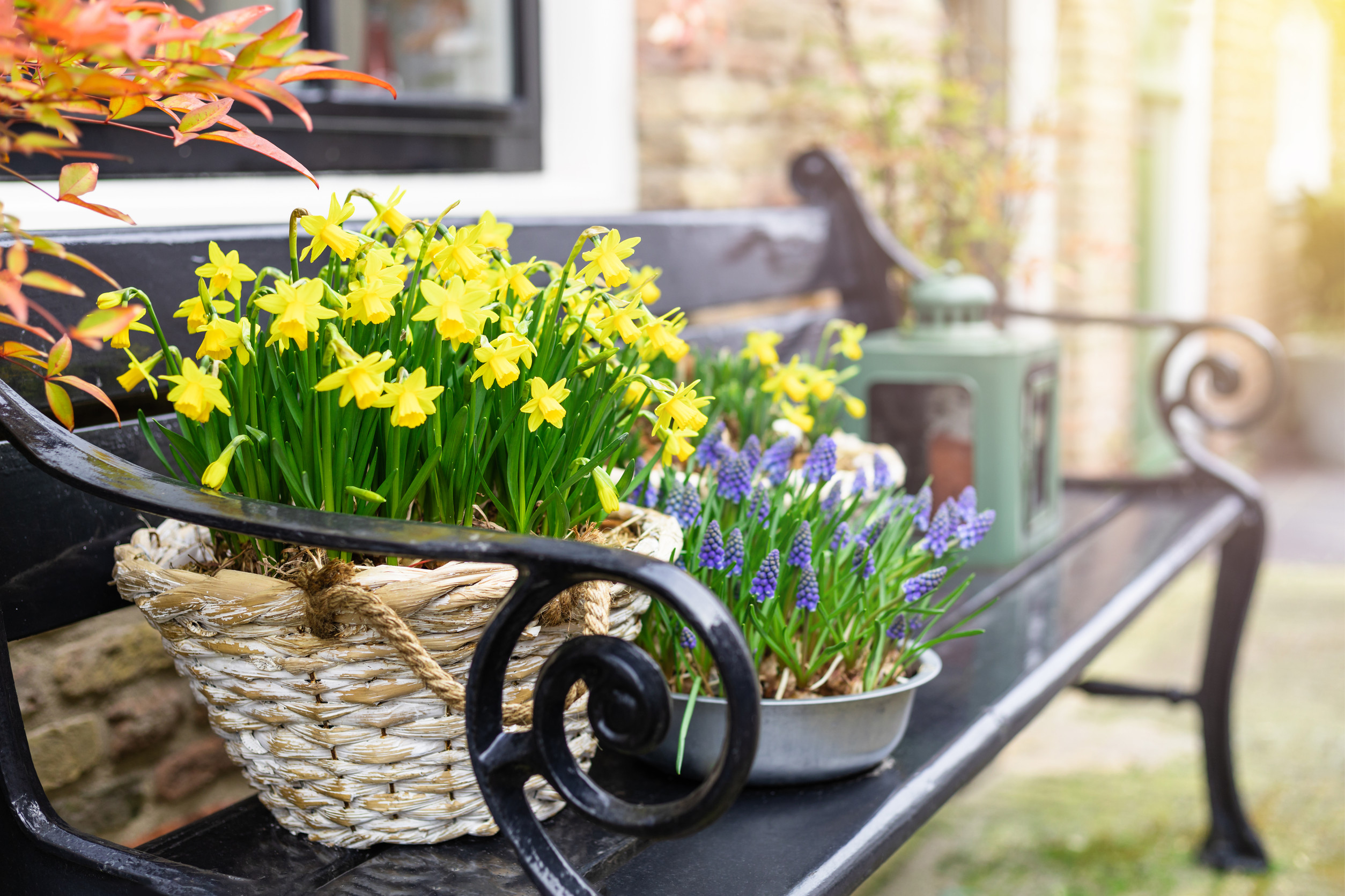 How to Market a Rental Property in Spring