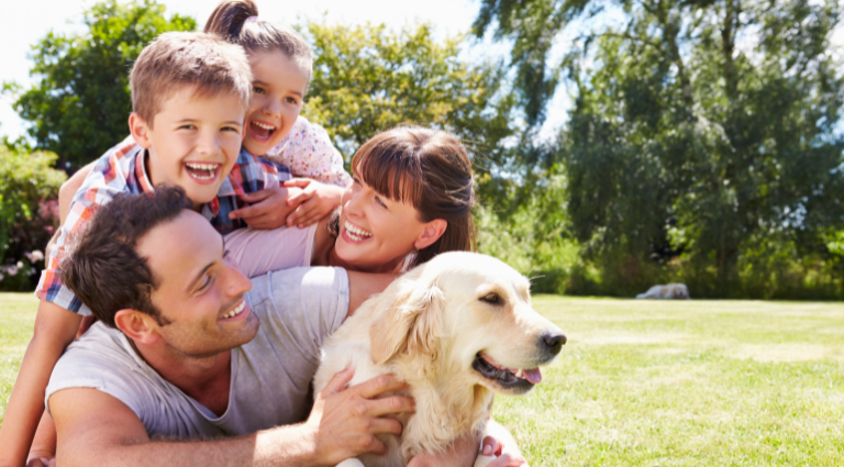 Landlord Tips Letting to Tenants with Pets