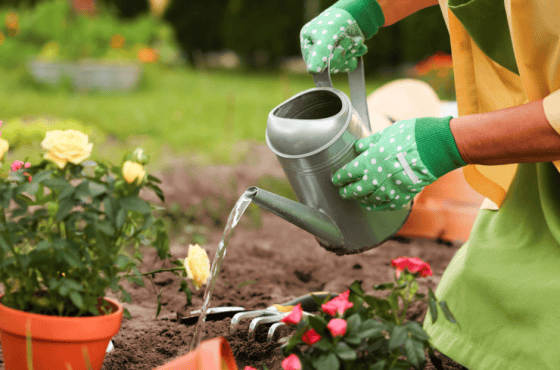 Who Looks After the Garden in a Rental Property? A Spring Guide for Landlords and Tenants